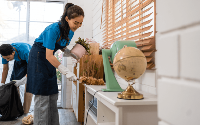 Clean Sweep: The Critical Role of Surface Sanitization in Home Hygiene